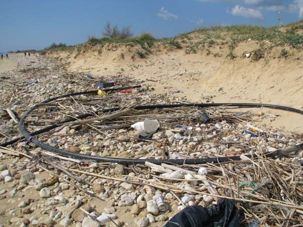 Figura 2. Immagine fotografica di rifiuti rinvenuti lungo la costa