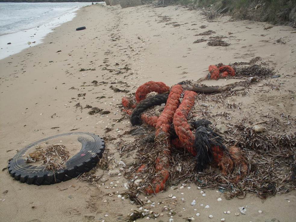 Figura 3. Immagine fotografica di rifiuti rinvenuti lungo le coste pugliesi