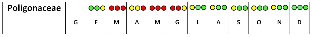 Calendario pollinico Polygonaceae