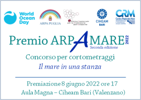 icona arpamare
