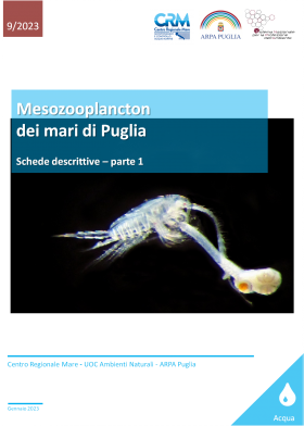 Mesozooplancton dei mari di Puglia 