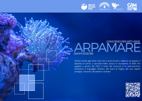 ArpAmare 2025